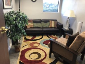 Woodland Hills Office, waiting area, beautiful multi colored rug, brown sofa, brown chair