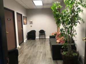 Woodland Hills Office, waiting area, grey sofa, tall green plant