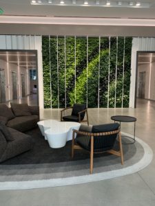 Glendale office lobby, large brown sofa, white table, green plants