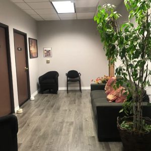 Woodland Hills Office, waiting area, grey sofa, tall green plant