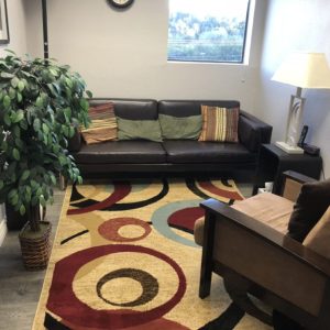 Woodland Hills Office, waiting area, beautiful multi colored rug, brown sofa, brown chair