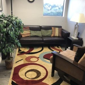 Woodland Hills Office, waiting area, beautiful multi colored rug, brown sofa, brown chair